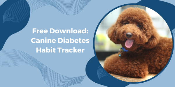 Dog Diabetes Meal & Insulin Log — Free Download | Preventive Vet